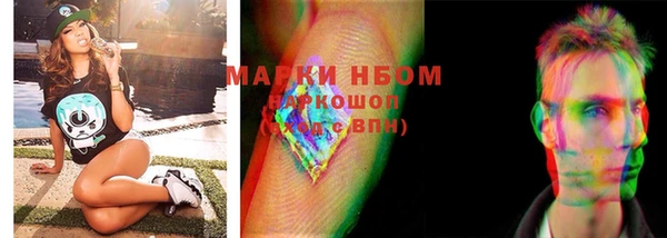 хмурый Зеленокумск