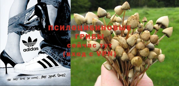 марки nbome Зеленодольск